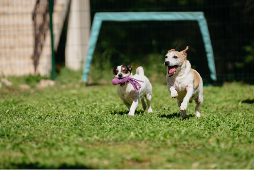 2024_04_16_A7102069-min.jpg
