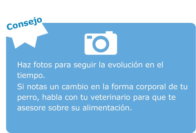 consejo-fotografia-animal.jpg