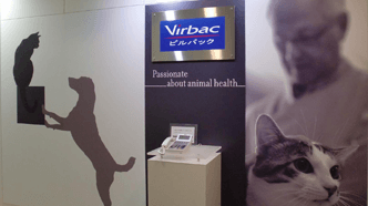 Dates-clés-1992 (1).png