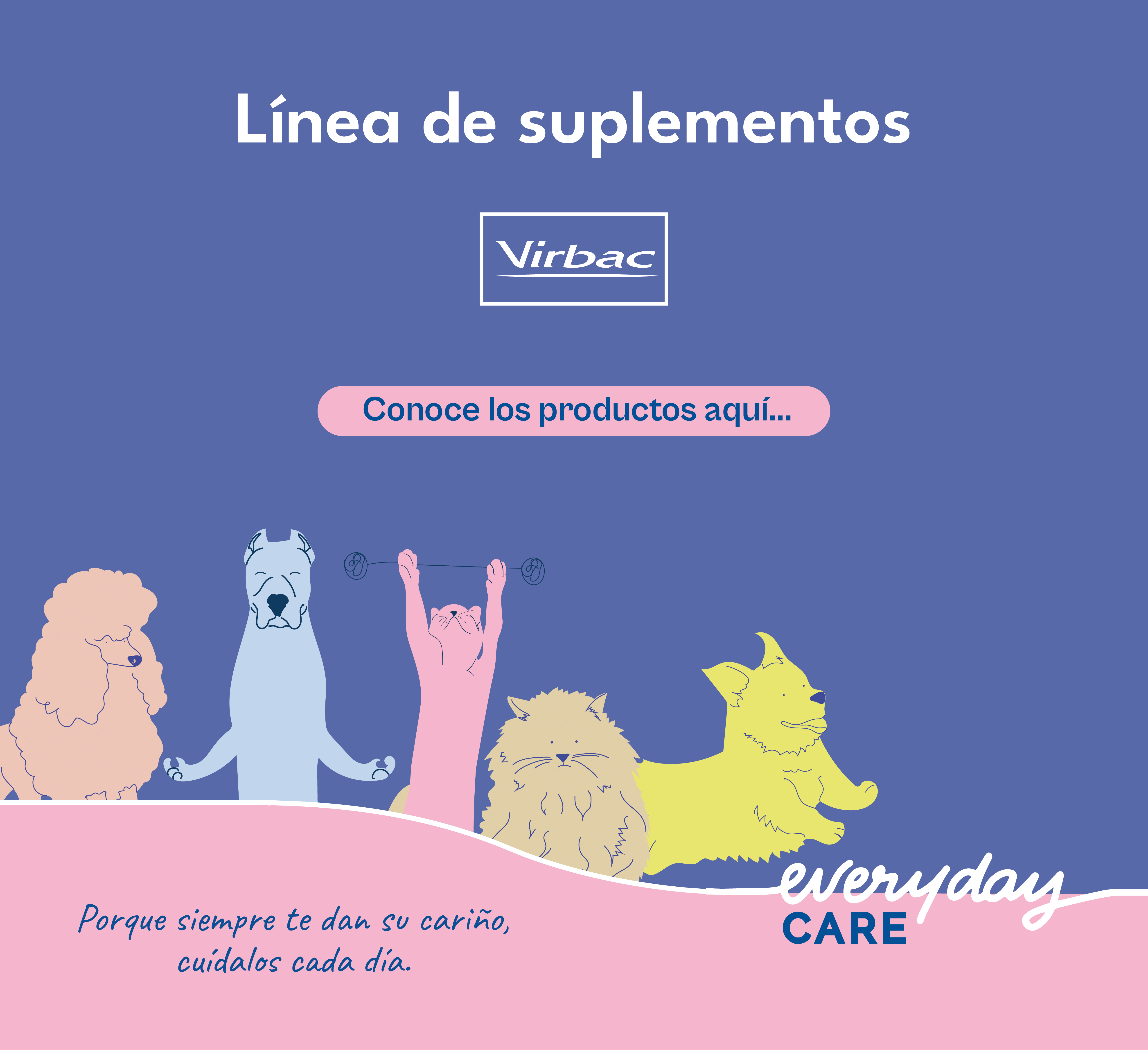 Imagen landing (1).png