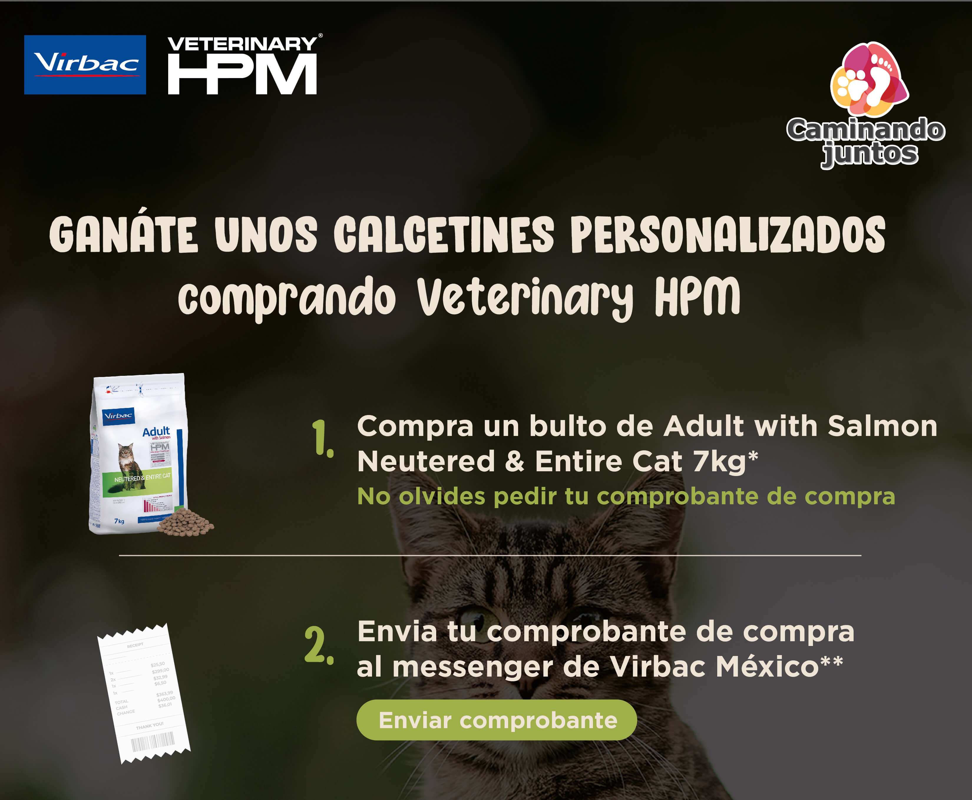 Bases_Mesa de trabajo 1 (1).jpg