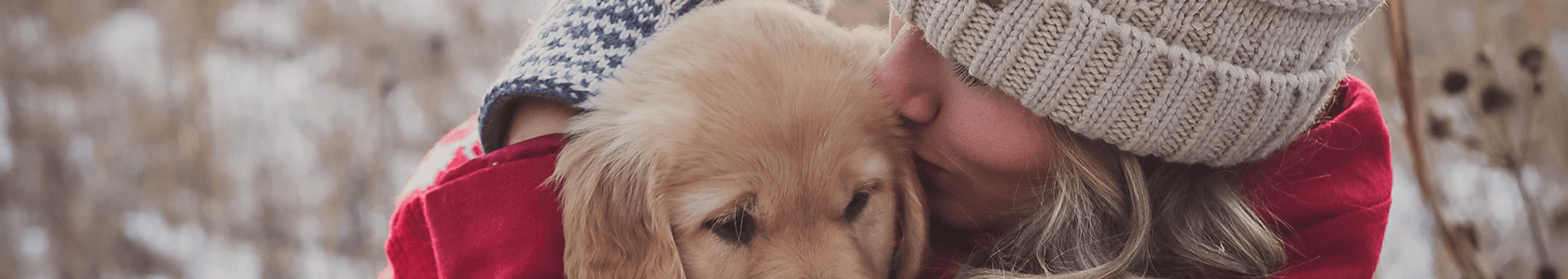 pueden las pulgas causar gusanos del corazón en los perros