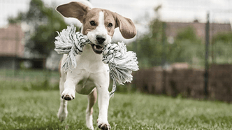 dates-clés-2020 (1).png