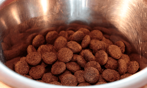 Cómo_mantener_a_mi_mascota_en_un_peso_saludable2