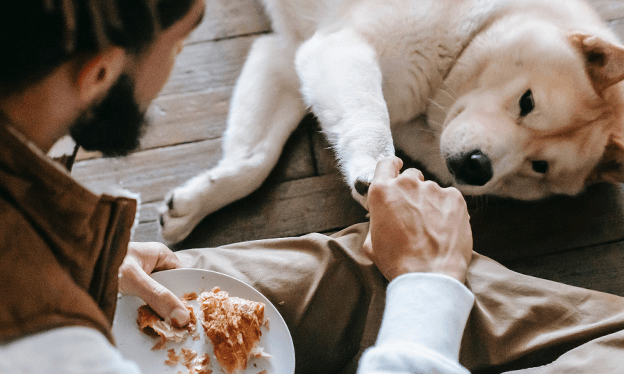 Sin título-3 (1).png