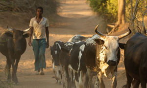 Responsabilidad social