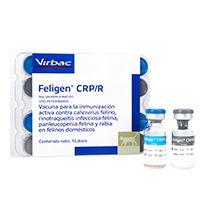 Feligen Feligen CRP/R | Virbac Mexico